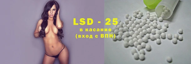 ECSTASY Белокуриха